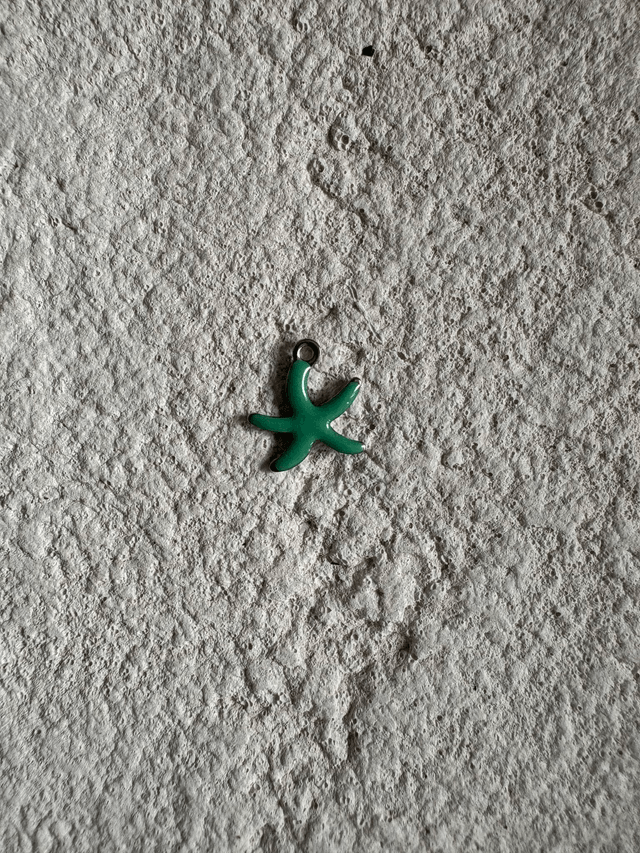Charm Mini étoile de mer colorée