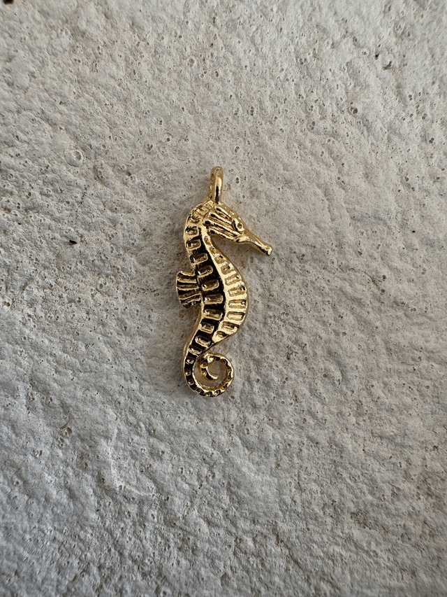 Charm Hippocampe