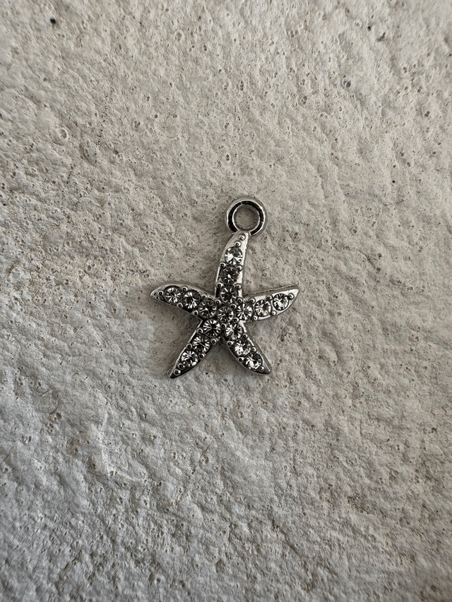 Charm Etoile de mer argentée