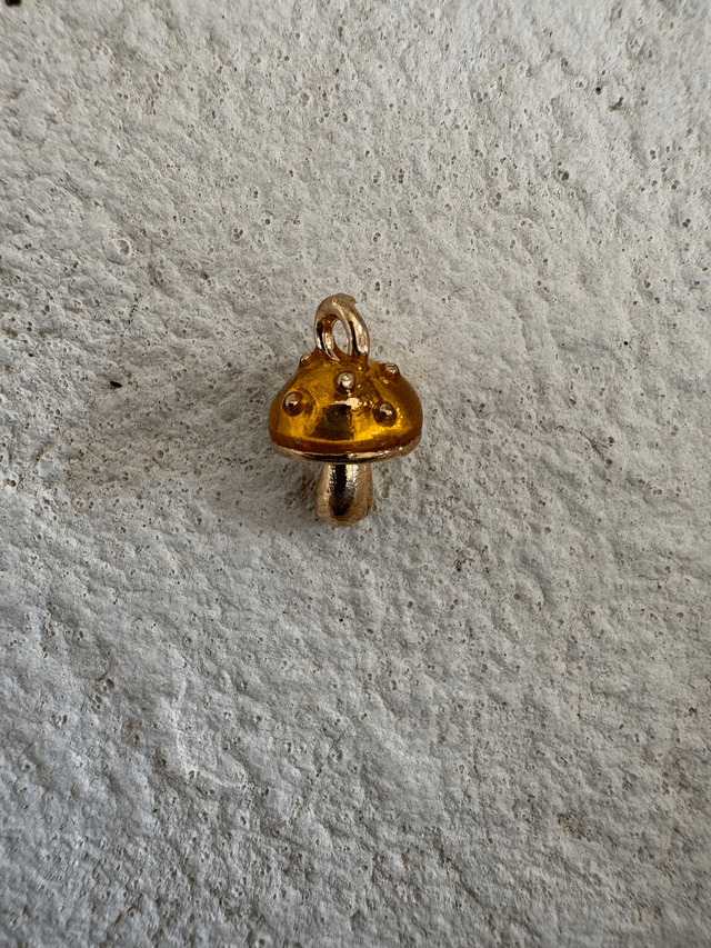 Charm Champignon orange