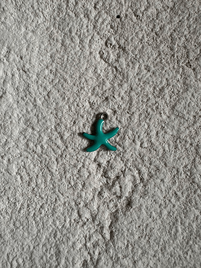 Charm Mini étoile de mer colorée