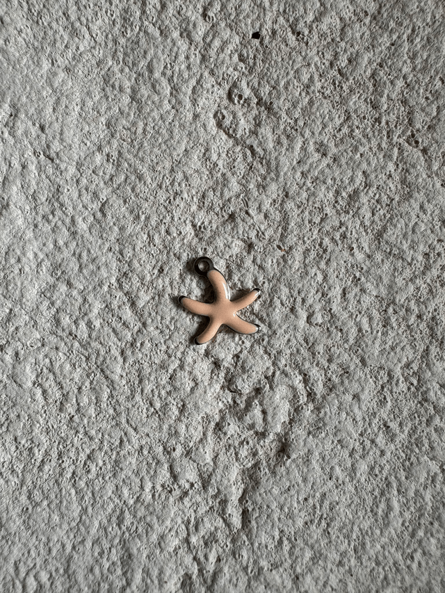 Charm Mini étoile de mer colorée