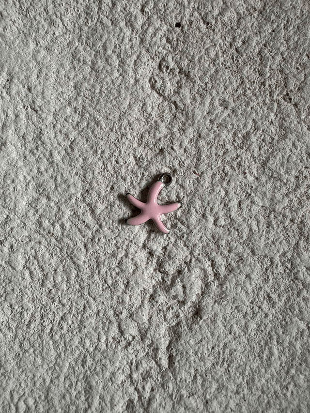 Charm Mini étoile de mer colorée