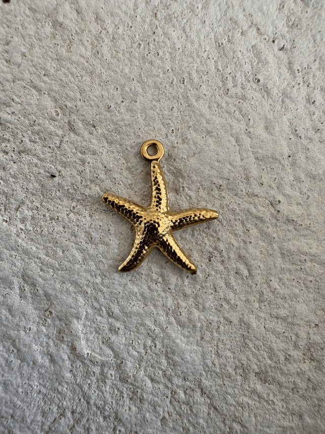 Charm Etoile de mer dorée