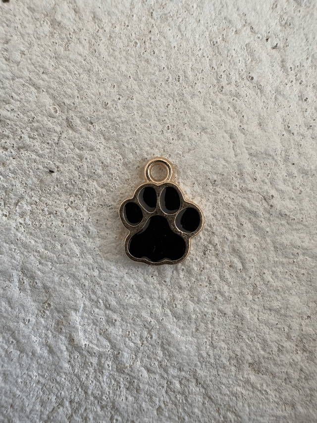 Charm Pate de chien