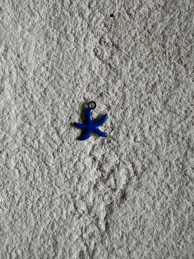 Charm Mini étoile de mer colorée