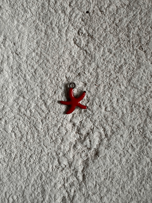 Charm Mini étoile de mer colorée