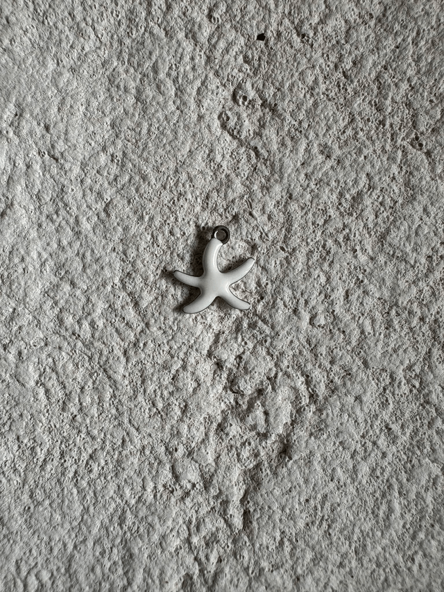 Charm Mini étoile de mer colorée