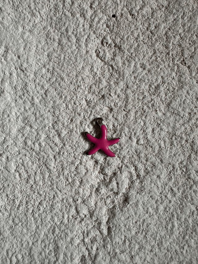 Charm Mini étoile de mer colorée