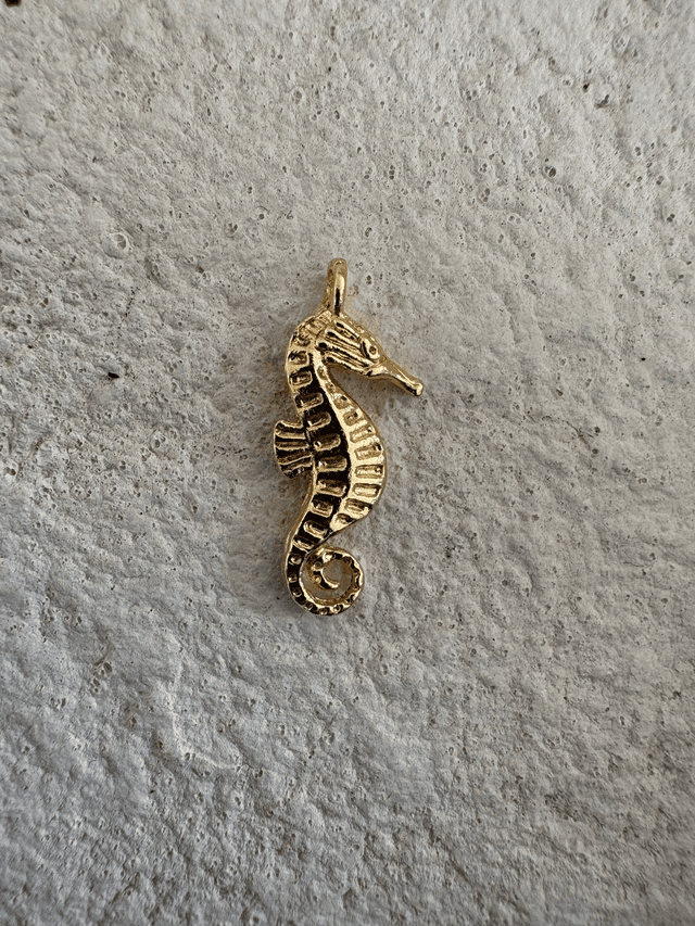 Charm Hippocampe