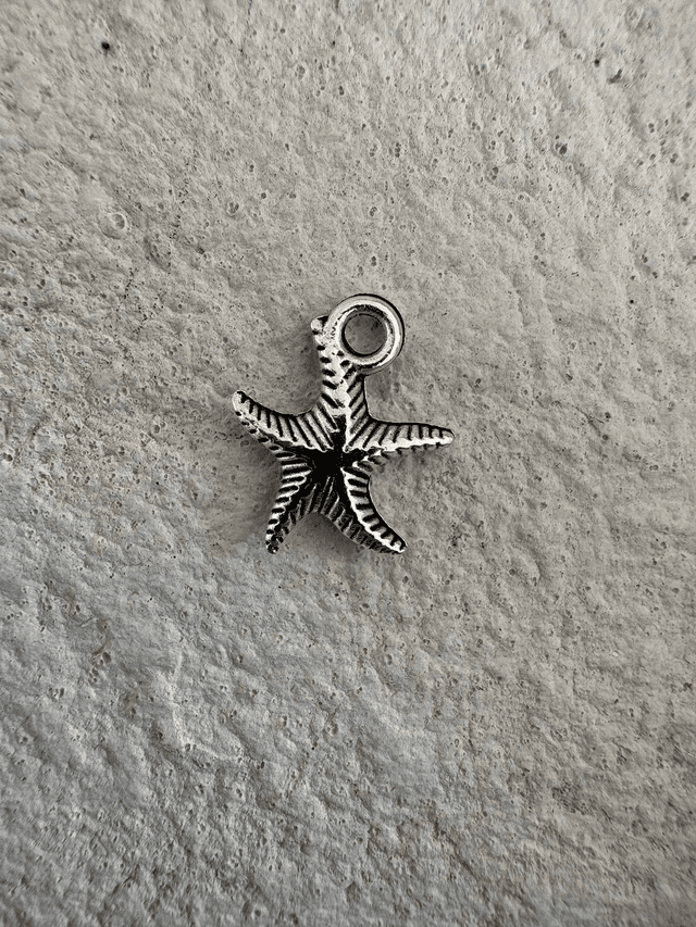 Charm Petite étoile de mer
