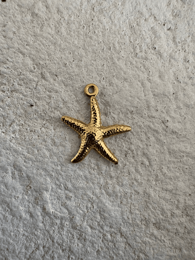 Charm Etoile de mer dorée
